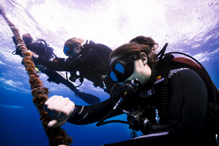 Diver Ropes https://scubakompagniet.cms.webnode.page/p/sdi-advanced-adventure-diver/